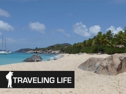 https://www.travelinglife.com/ website