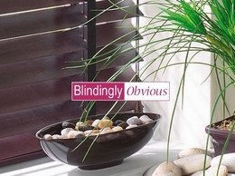 https://www.blindinglyobvious.co.uk/ website