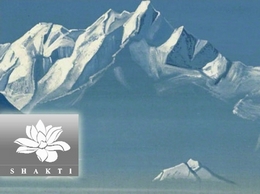 https://www.shaktihimalaya.com/ website