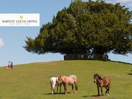 https://www.newforesthotels.co.uk/ website