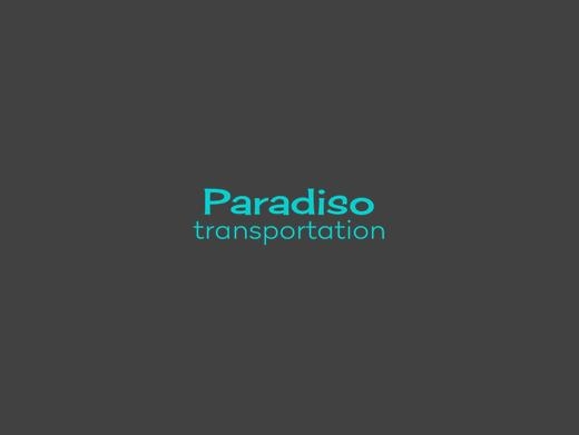 https://www.paradisotransportation.com/palm-beach-airport-bus-charter website
