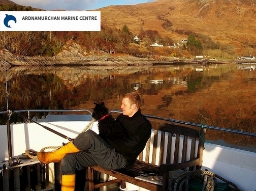 https://selfcatering-ardnamurchan.co.uk/ website